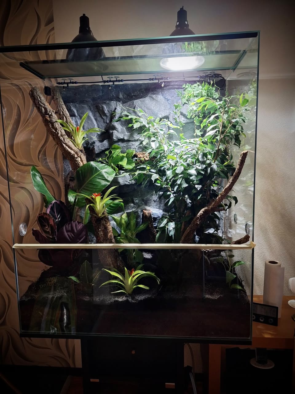 Bepflanzte Kunststein-Felsrückwand mit Bromelien, Efeu und Kletterästen in einem Glasterrarium